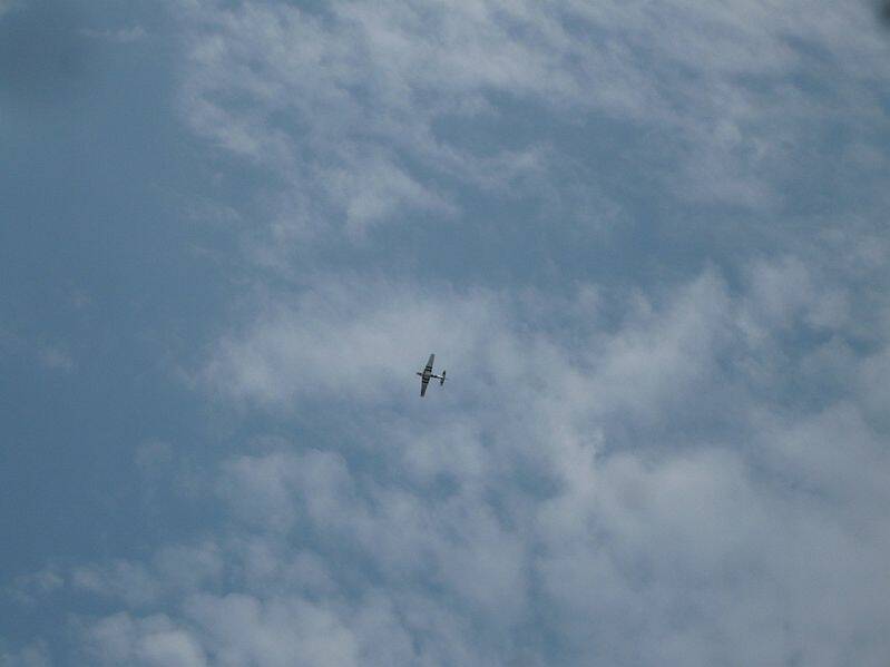 P1140489.JPG
