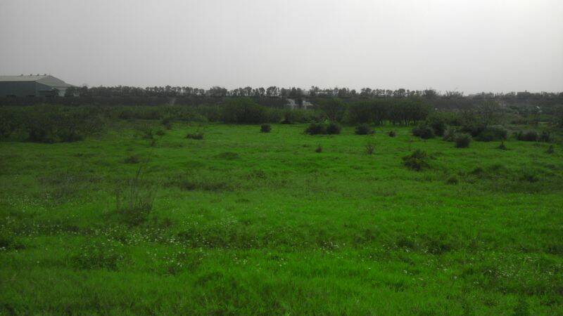 IMAG0135.jpg