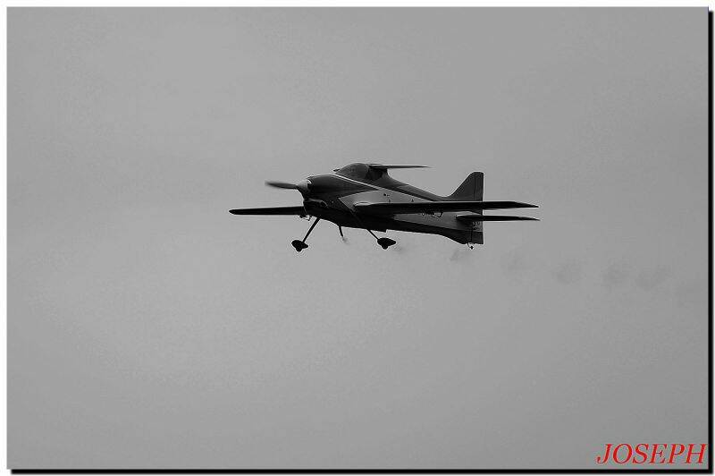 DSC_9733 (1).JPG