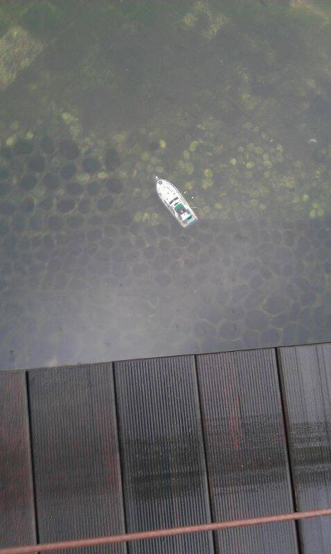 IMAG0259.jpg