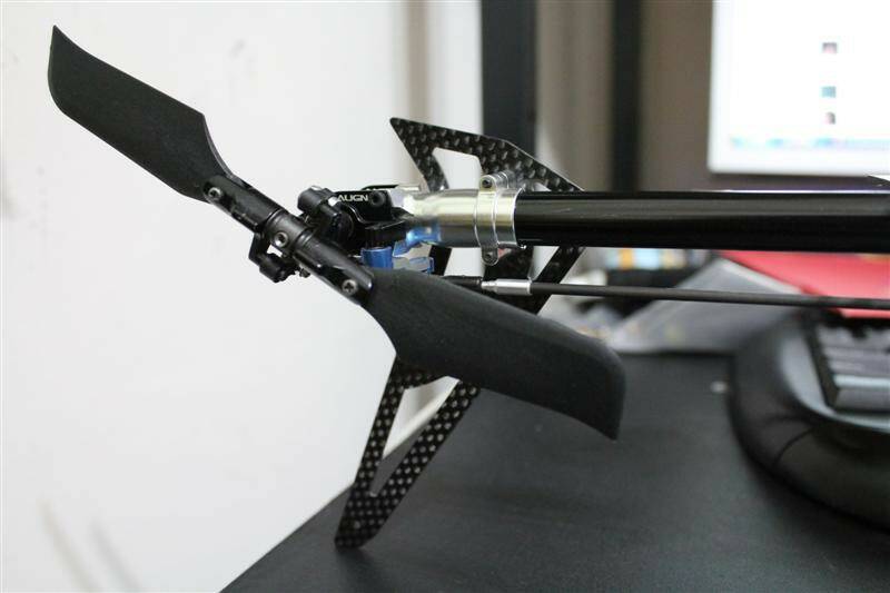 IMG_3689 (Medium).JPG