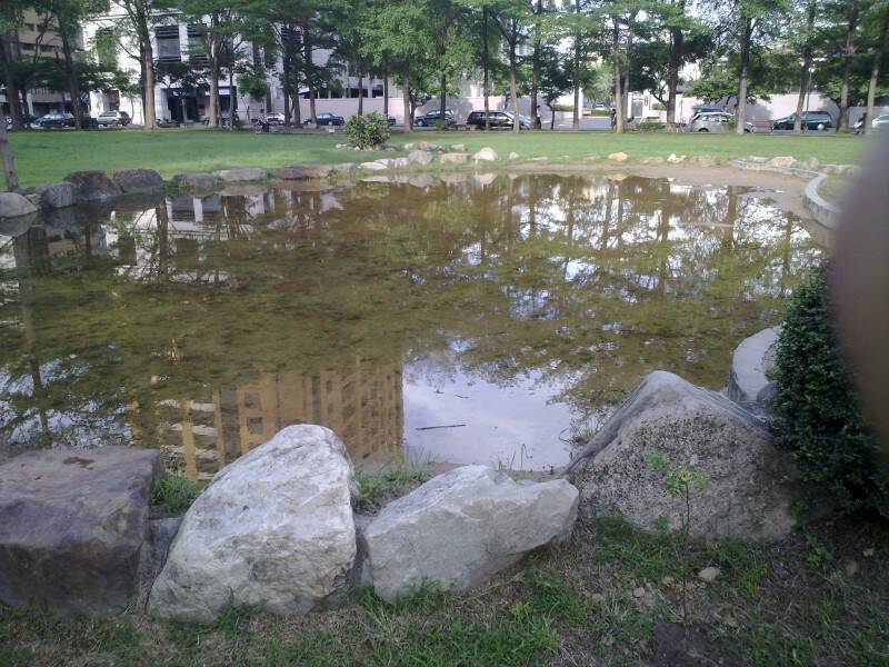 20120501672.jpg