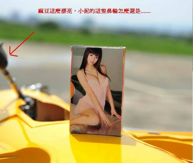 麻豆.JPG