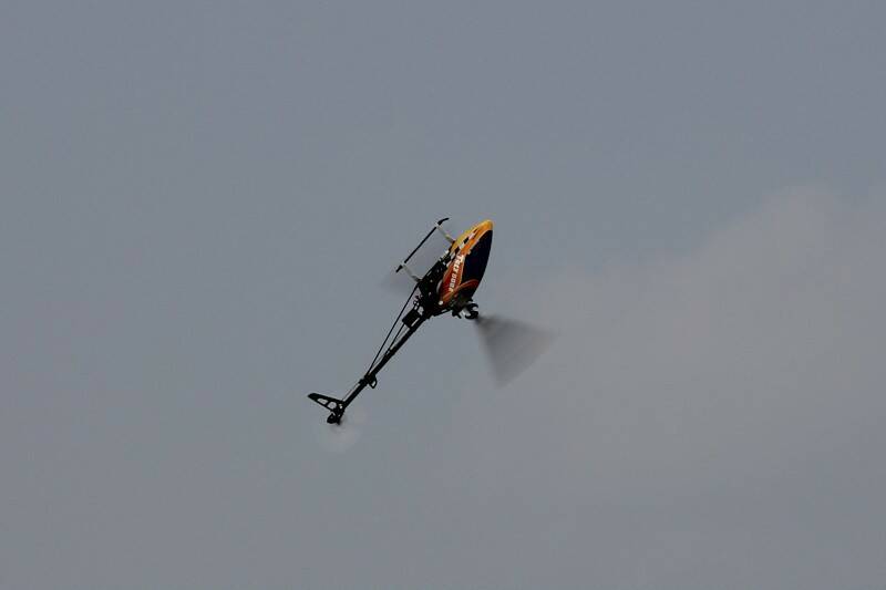 IMG_0576-800.jpg