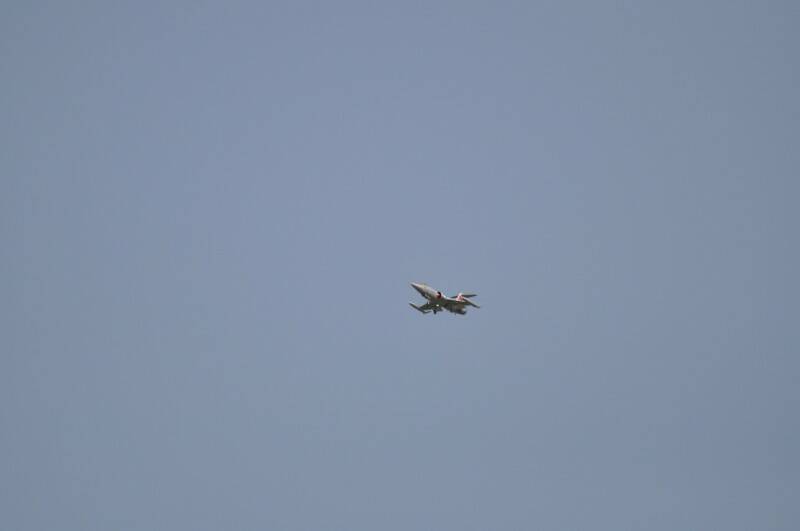 2012 098_調整大小.jpg