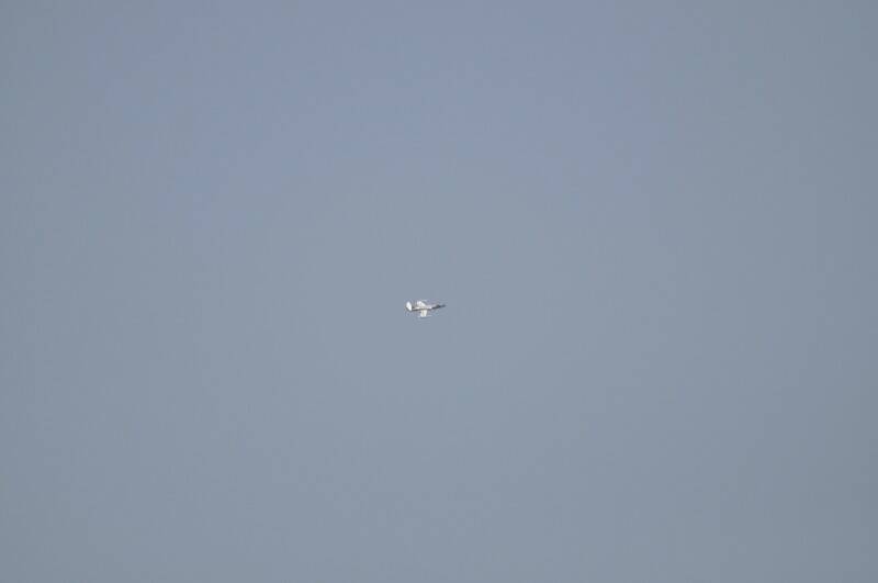 2012 110_調整大小.jpg
