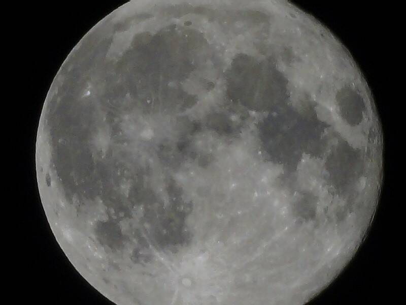 DSC00830.JPG