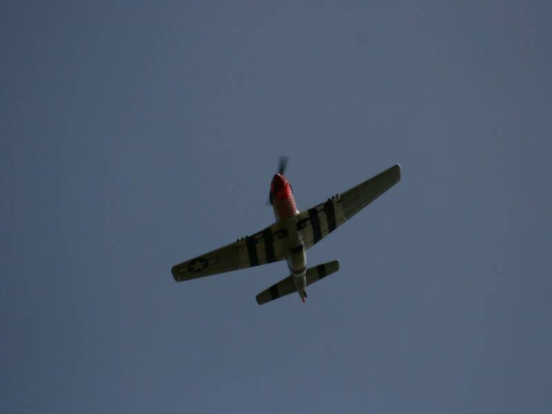 IMG_1624-1.jpg