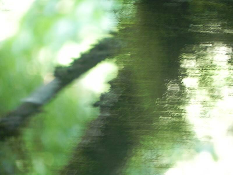 DSCN4419-800.jpg
