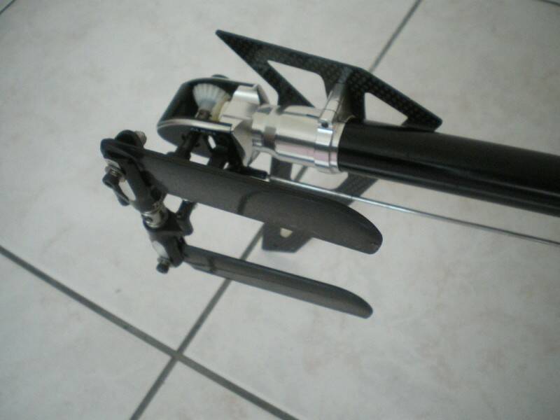 IMGP3666.JPG