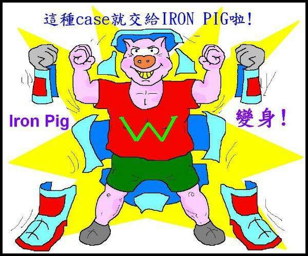 IronPig2.jpg