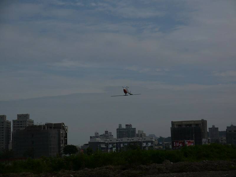 P1010273-800.jpg