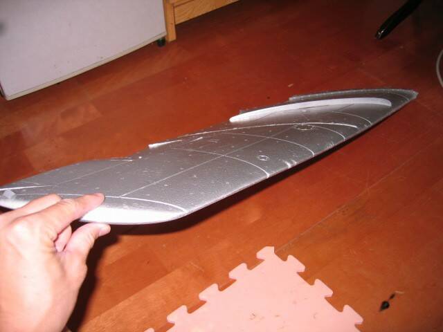 翅膀扭轉嚴重
