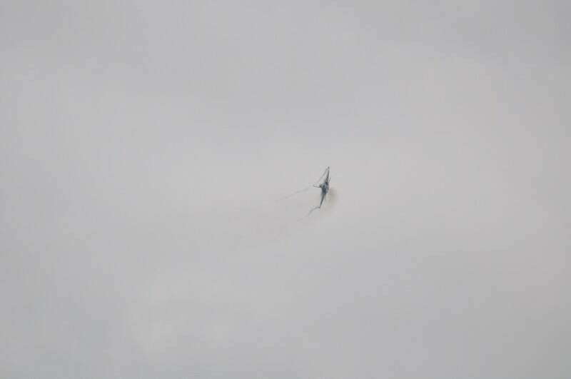 2012 398_調整大小.jpg