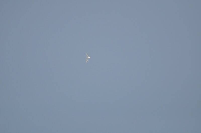 2012 167_調整大小.jpg