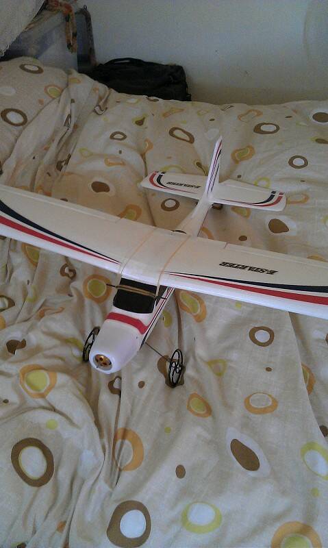 IMAG0155-800.jpg