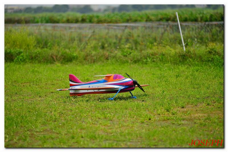DSC_0906.JPG