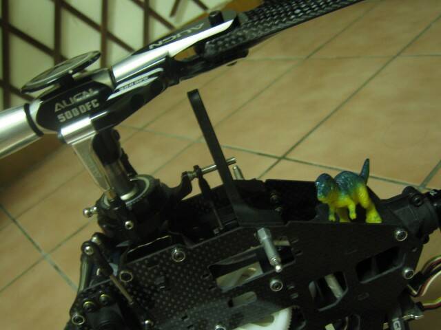 004.JPG