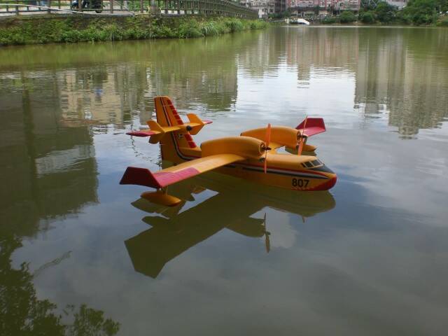 CIMG5581.JPG