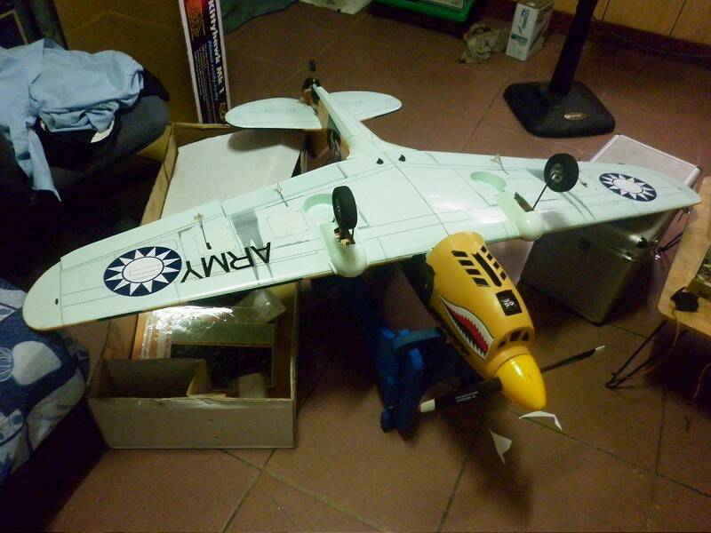 P1000493-800.jpg