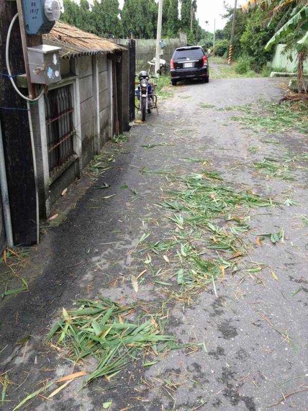 竹葉也落滿地