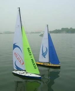 T1OWtKXclEXXaPskwU_015437.jpg_310x310.jpg