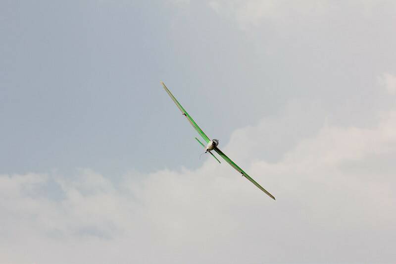 IMG_1372-800.jpg