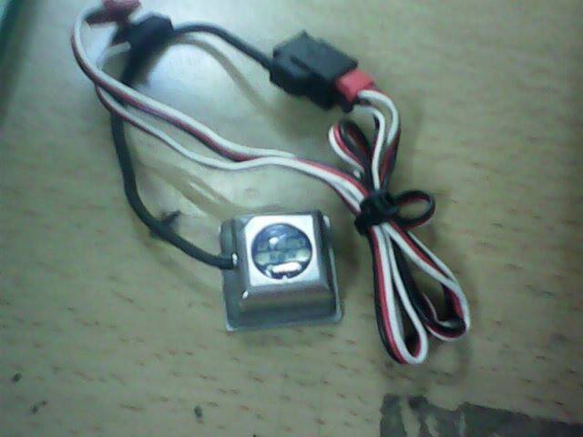IMG0309A.jpg