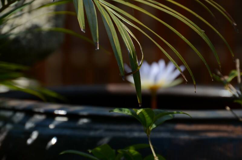 DSC_1040.JPG