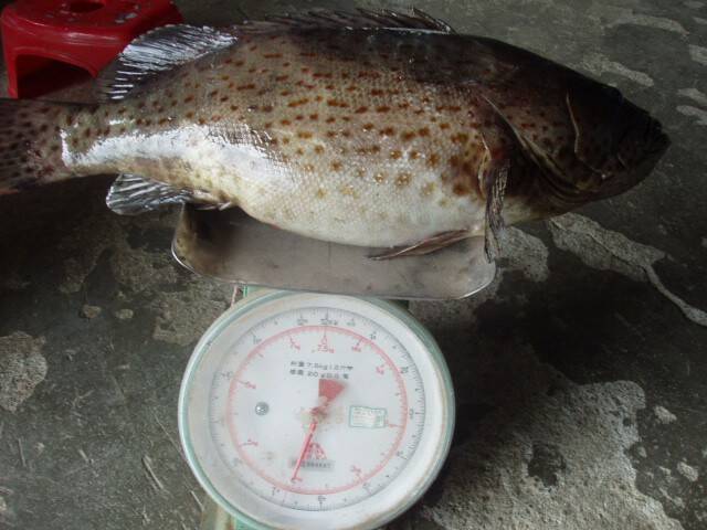 照片 725.jpg