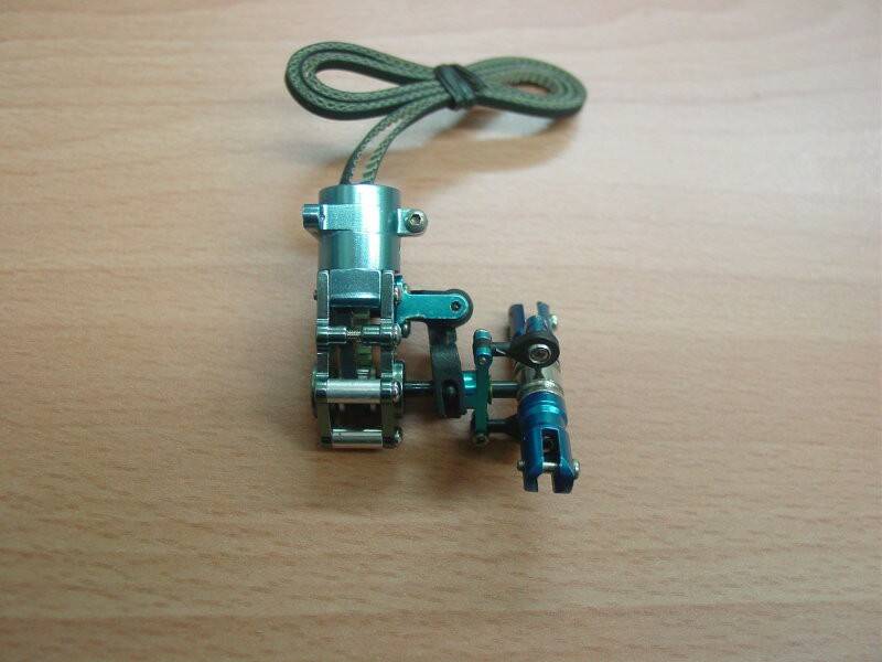 DSCc9867-1.JPG