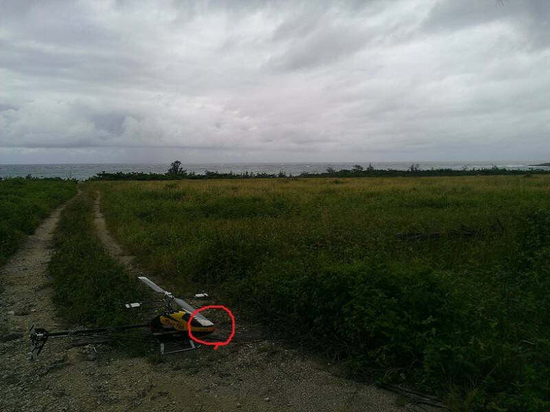 WP_000759.jpg