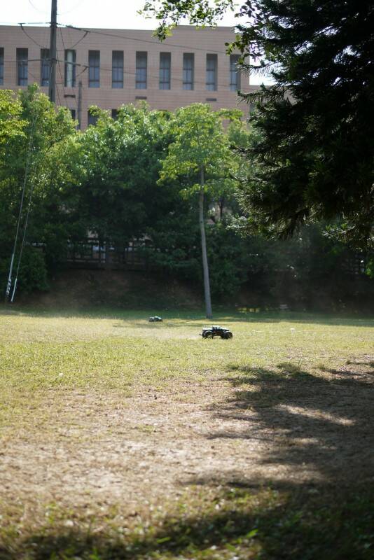 P1050580.jpg