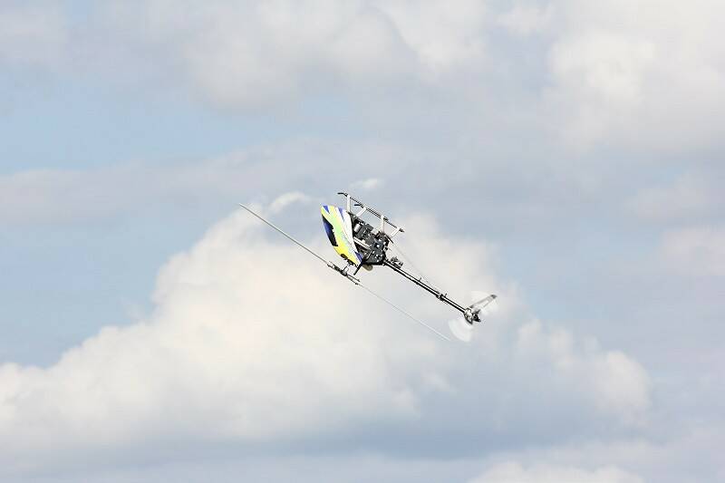 IMG_2313-800.jpg