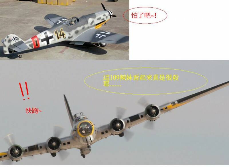 esm-bf_109_g_06.jpg