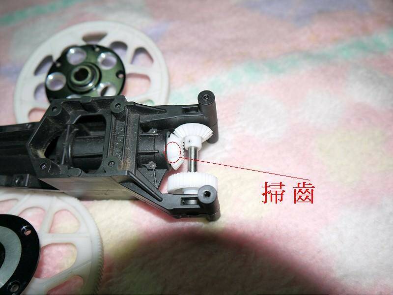 P1010577-800.jpg
