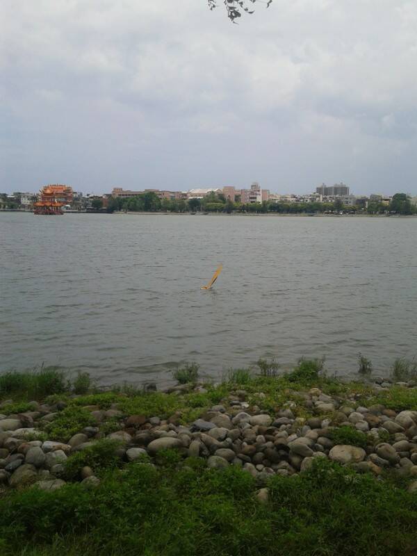 20120716_120627.jpg