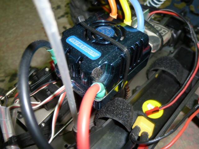 P1020478.JPG