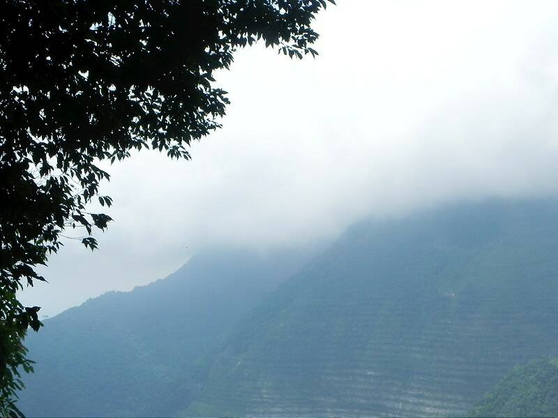 DSCN5290-800.jpg