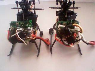 IMG0320A.jpg