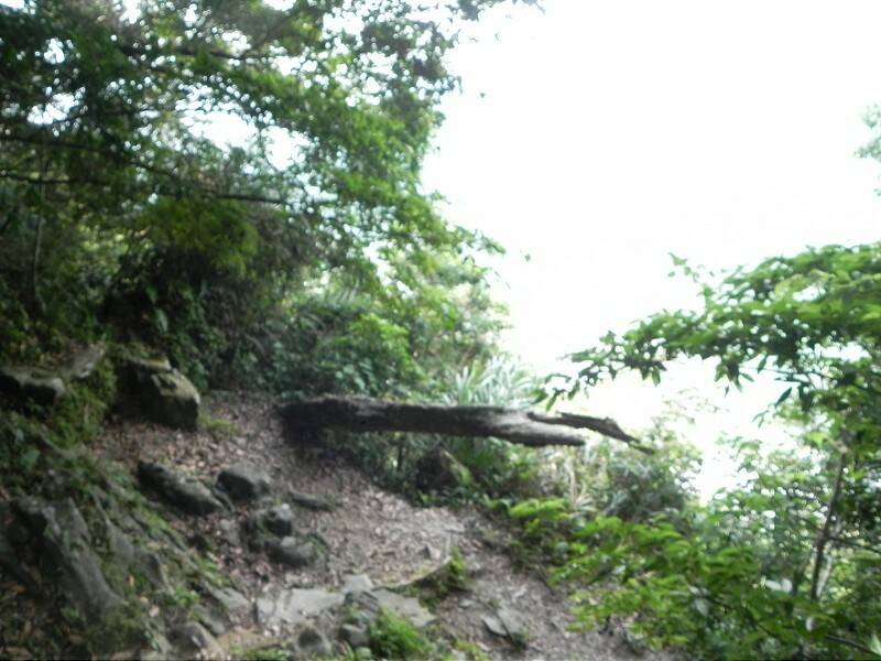 DSCN5288-800.jpg
