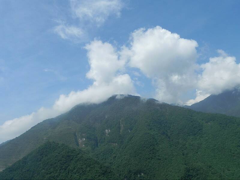 DSCN5274-800.jpg