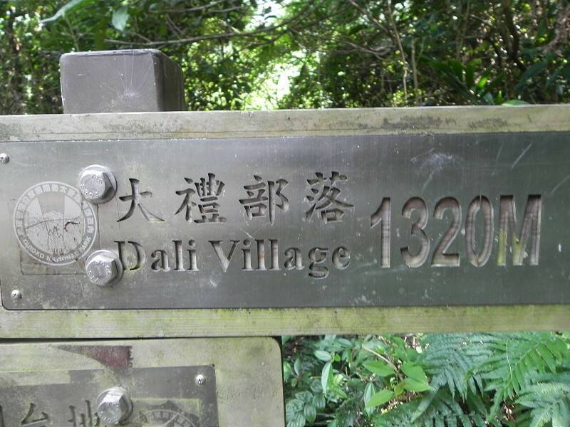 DSCN5279-800.jpg