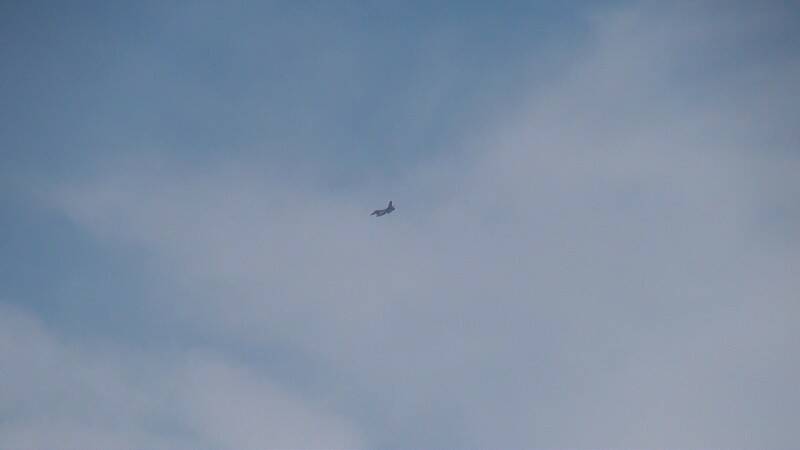 DSC03557-800.jpg