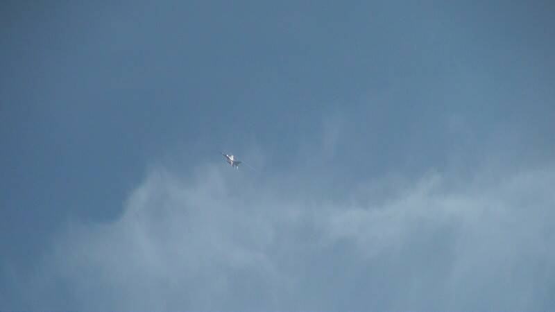 DSC03536-800.jpg