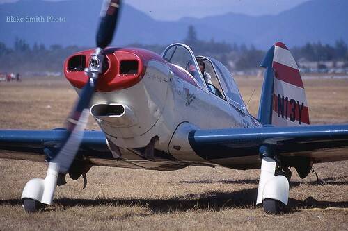 Chipmunk-2.jpg