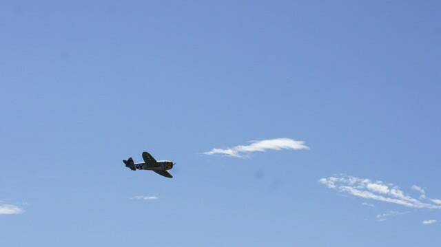 _DSC6404.JPG