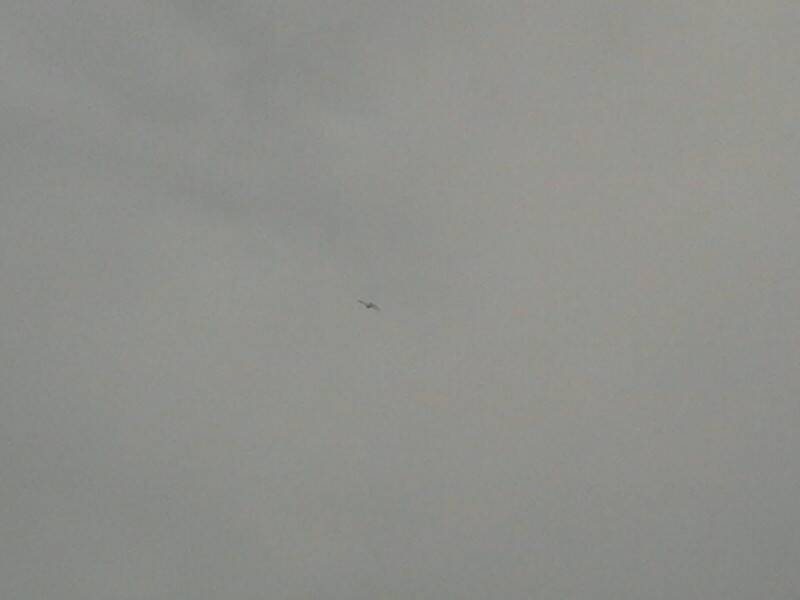 2012-07-28 09.07.53.jpg