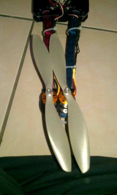 IMAG0221.jpg