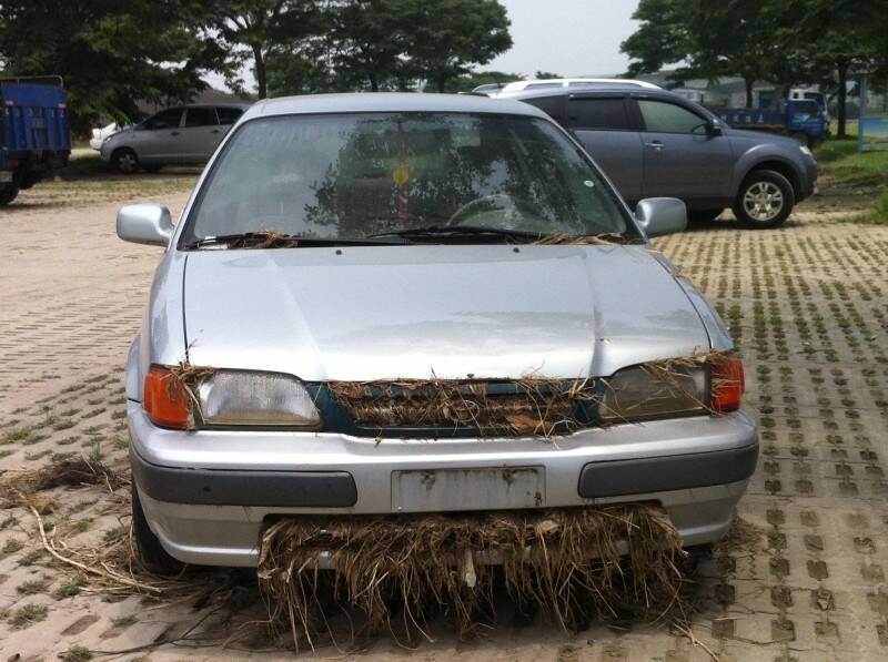 哈~~放牛吃草了~~